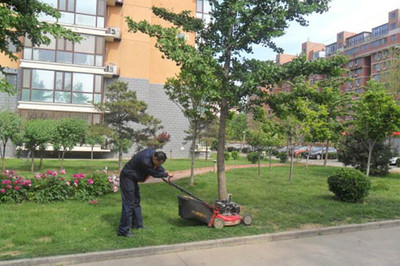 茂名綠化養(yǎng)護流程與綠化管理實踐
