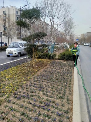 開封市園林綠化中心 澆灌“返青水” 靜待滿城春