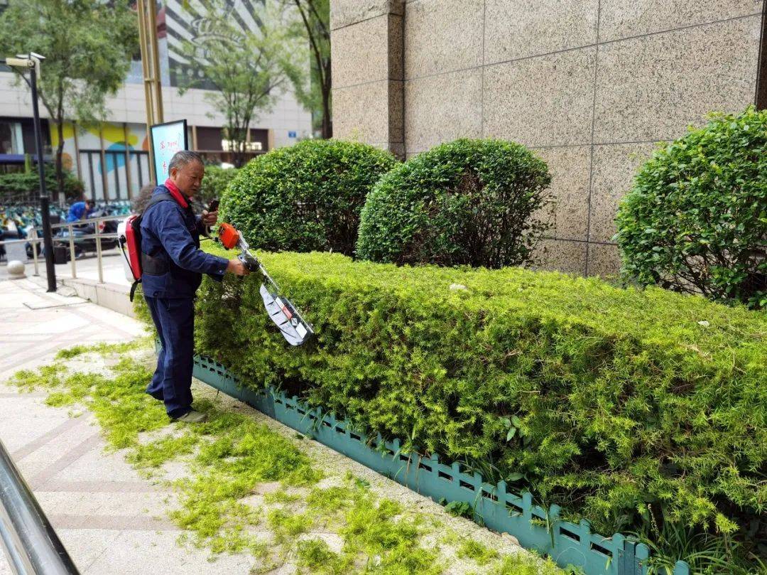 綠化修剪作業(yè) 園林維護的重要環(huán)節(jié)