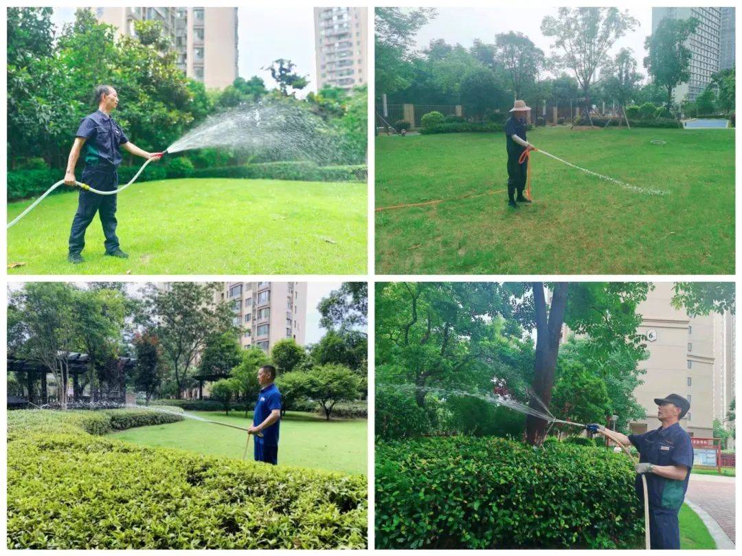 品質(zhì)進(jìn)階，綠化養(yǎng)護(hù)——和融物業(yè)讓生活更美好