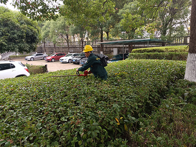 園林工程中的綠化管理 策略與實踐