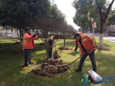 錫山城管局三步走完成春季綠化補(bǔ)植工作