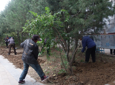 涿州市多措并舉推進(jìn)園林綠化工作，助力創(chuàng)城目標(biāo)