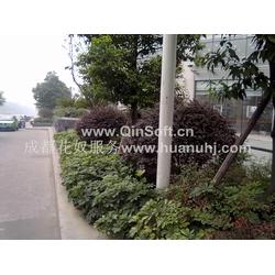 園林養(yǎng)護全產業(yè)鏈解析 從批發(fā)供應、廠家生產到綠化管理