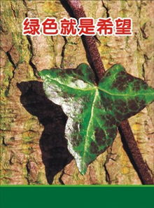 綠色行動，責任共擔——環保綠化公益海報倡議