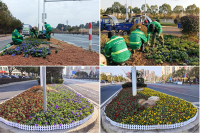 迎新春，袁州城區(qū)種花煥新迎祥和年——綠化管理繪就幸福底色