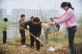植樹(shù)綠化，重在管理——論綠化管理的核心價(jià)值與實(shí)踐路徑