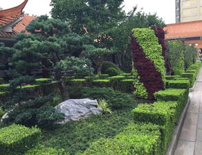 帶著感情做綠化丨美好家園，我們給您營(yíng)造——綠化管理的人本之道