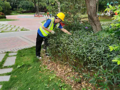 怡軒園林綠化公司啟動雪域?yàn)懲バ^(qū)冬季綠化專項(xiàng)養(yǎng)護(hù)管理工作