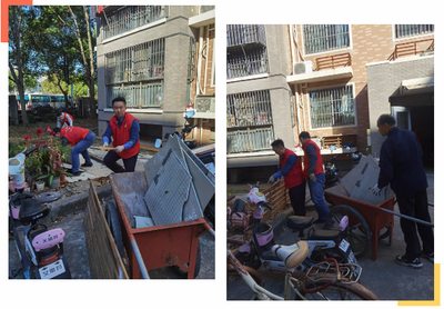 小區(qū)綠化需共護(hù)，莫讓公共空間變私人“小菜園”